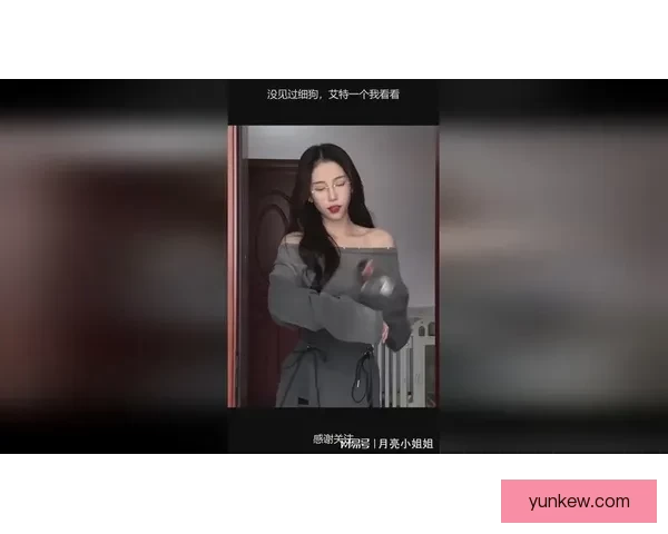 哪里看电视剧更新快全网热播剧集实时同步追更指南平台推荐与追剧技巧